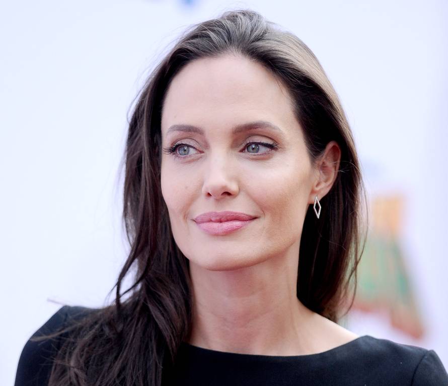 Kung Fu Panda 3 Los Angeles Premiere