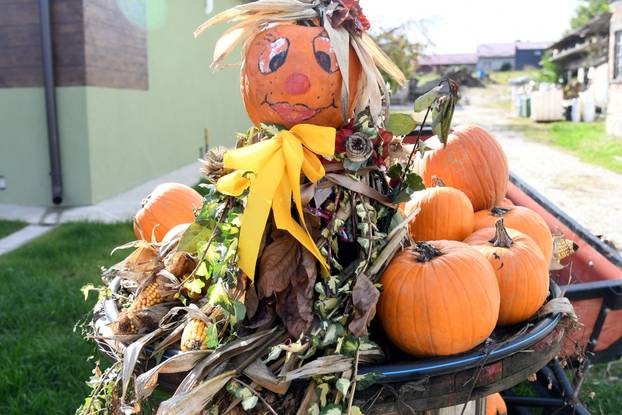 Čukovec: Selo jagoda pretvoreno je u selo bundeva