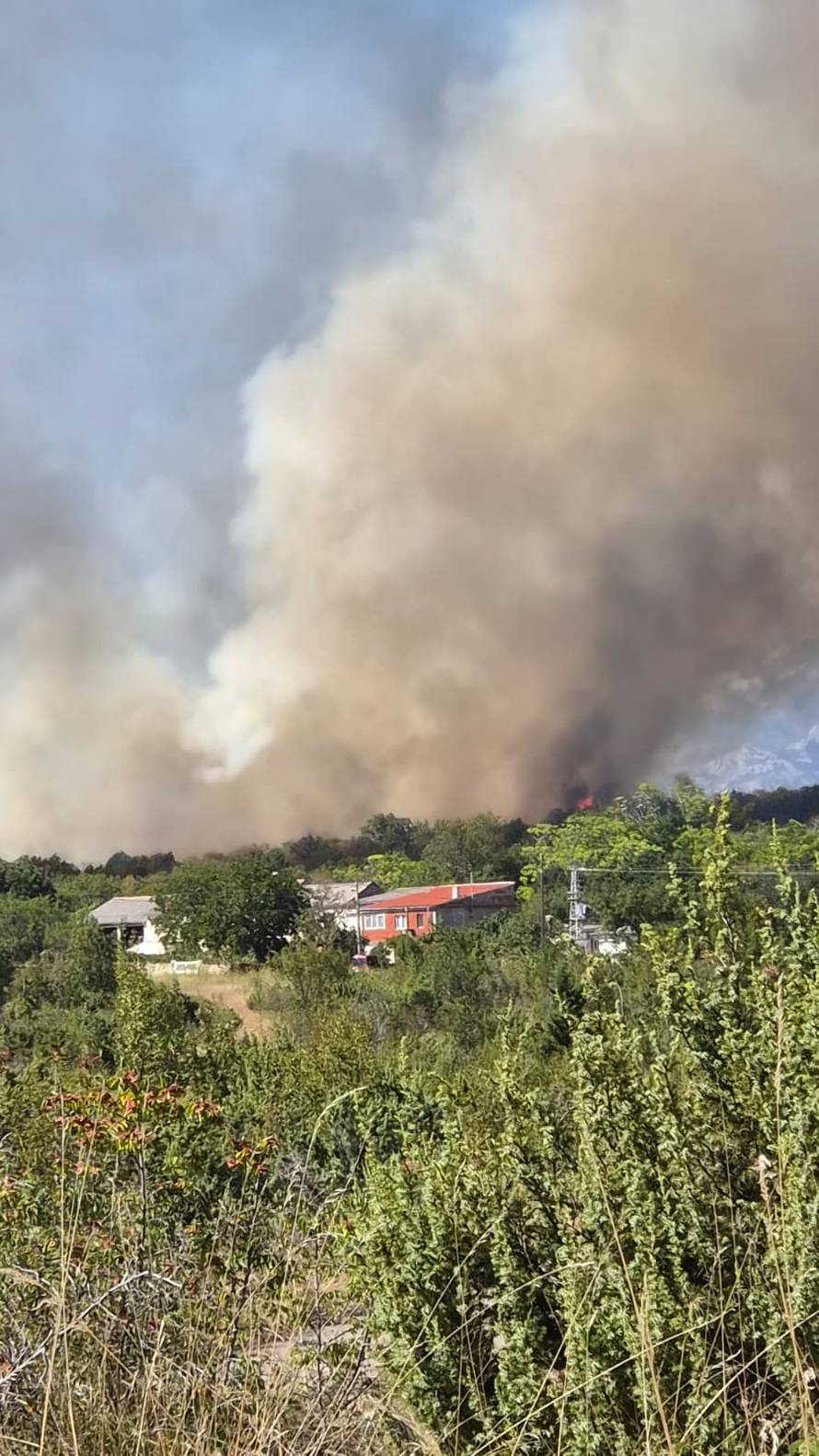 VIDEO Požar kod Zadra gase kanader i Airtractor: 'Još se vidi dim, požar je blizu kuća'