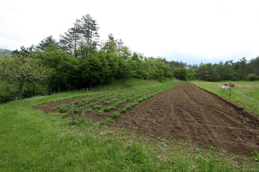 'Sestra mi je umrla pred očima, stroj joj povukao kosu i ubio je'