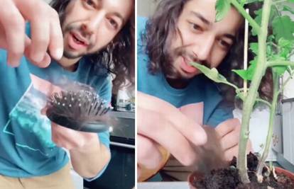 Kućni eksperimenti: Oživio je biljke uz pomoć vlastite kose