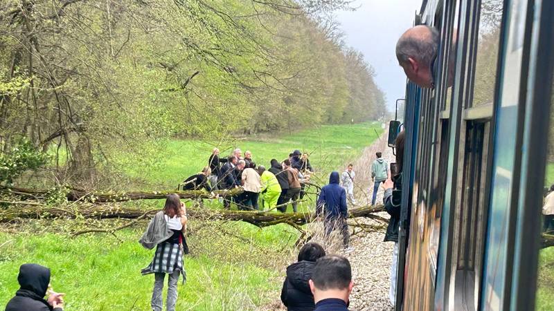 VIDEO Stablo palo na tračnice: 'Putnici su izašli van, bez puno razmišljanja, svi su radili...'