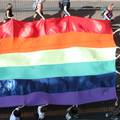 Slovenski ustavni sud: Gay parovi mogu usvajati djecu