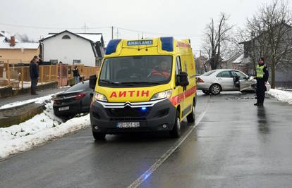 Sjekao stabla u šumi, jedno je palo na njega i usmrtilo ga