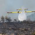 Izgorio dio šume: Požar kod Umaga gasila i dva kanadera