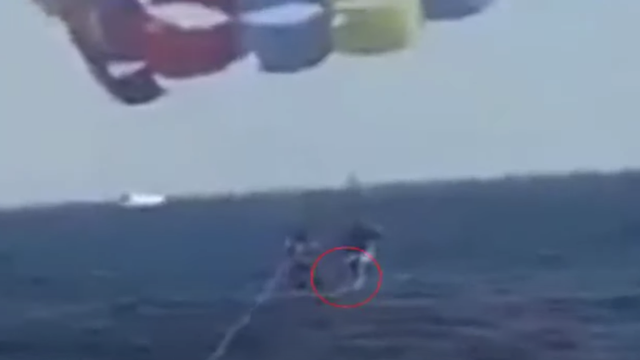 VIDEO Sve snimili: Morski pas je otkinuo dio noge paraglajderu!