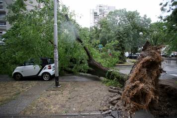 Zagreb: Na &ccaron;etiri automobila sru&scaron;ilo se stablo tijekom nevremena