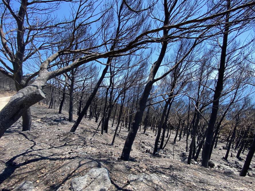 Estonac iz Mimica: 'Od izbijanja požara nemam ni struje ni vode. Krov mi je u potpunosti izgorio'