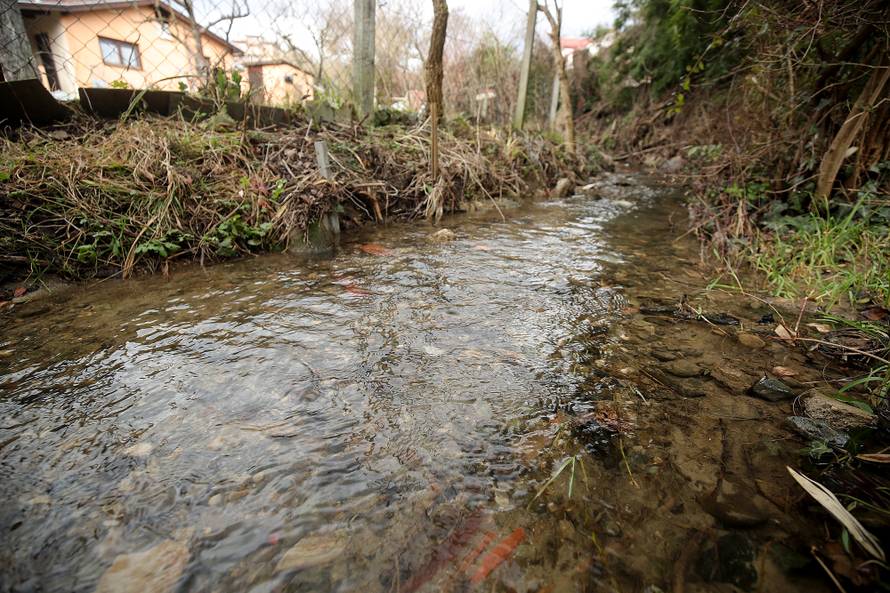 Ne dam Hrvatskim vodama da unište moj vrt, stablo i potok...
