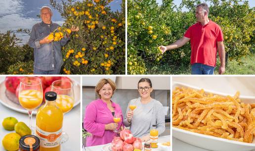 'Otkupna cijena za kilogram mandarina je mizerna, ali se trudimo iz svega izvući najbolje'