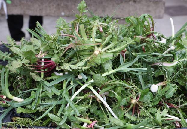 Šibenik: Raznolika ponuda na tržnici