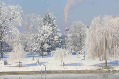 FOTO Snježna idila u Karlovcu: Drveća okovana ledom na -11°C