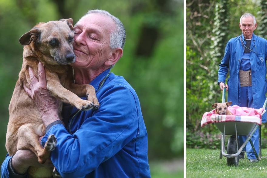 VJE&Ccaron;NI PRIJATELJI Psa svaki dan u ta&ccaron;kama vozi vani: Nikad ne&cacute;u napustiti svojeg Bobija (15)...