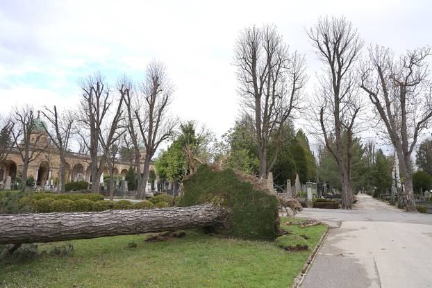 24sata Zagreb: Poljedice velikog nevremena na Mirogoju