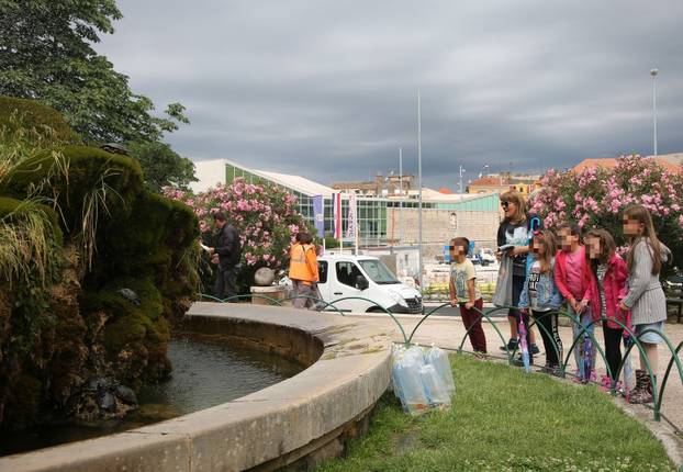 Kornjače u poznatoj šibenskoj fontani dobile društvo - 18 ribica