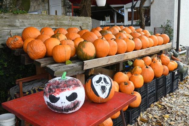 Čukovec: Selo jagoda pretvoreno je u selo bundeva
