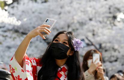 Rekord 2021.: Trešnje u Japanu procvjetale ranije nego ikad