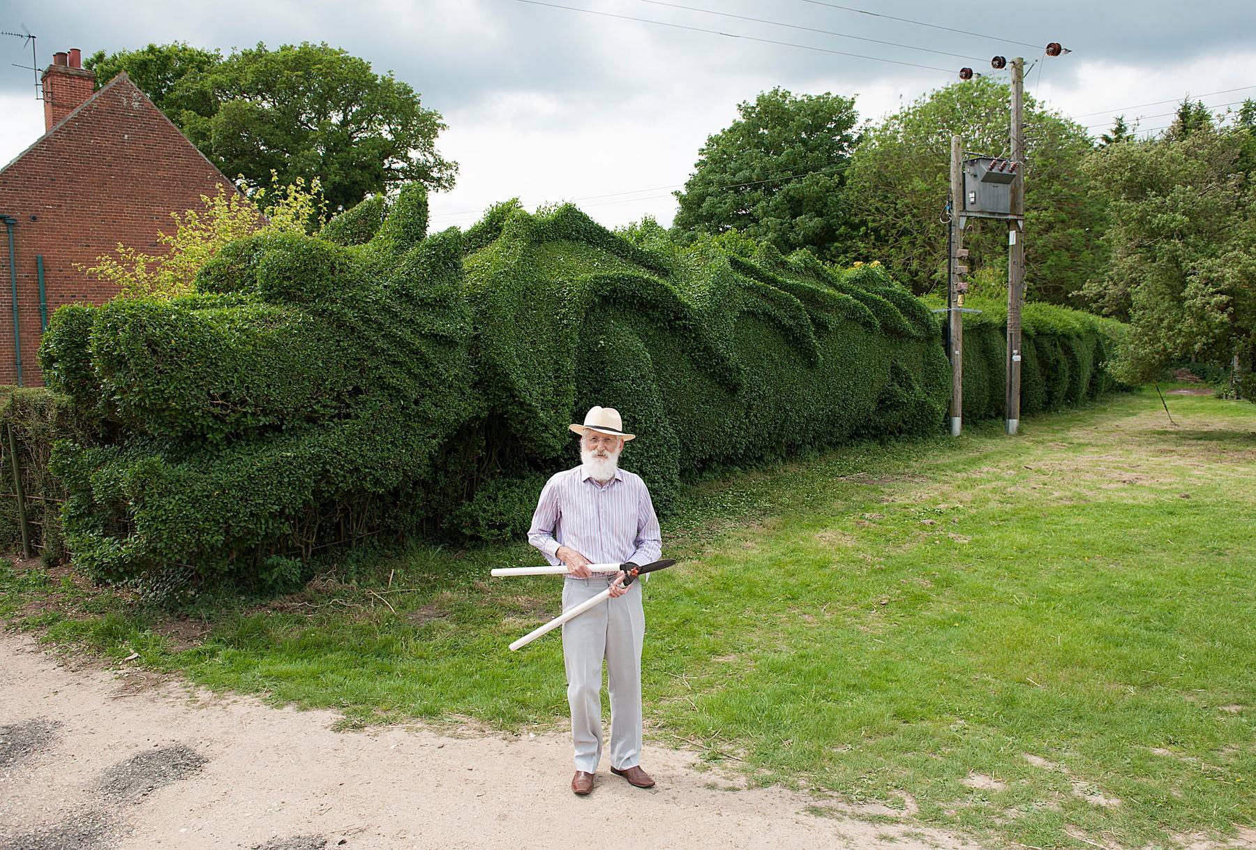 Clipping This Hedge Is A Monster Job