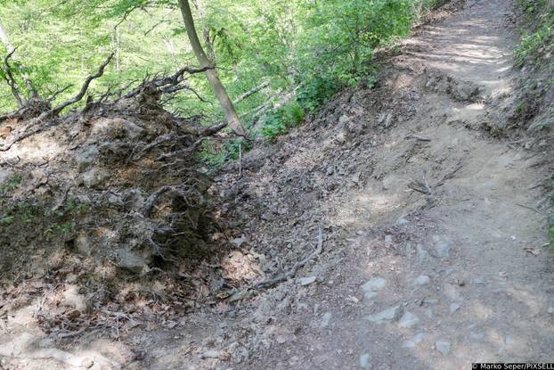 Zagreb: Tri tjedna nakon razorne oluje na Sljemenu i dalje vidljive posljedice 