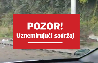 Auto potpuno smrskan: Pijani mladić zabio se u stup. Svi bili maloljetni, cura (17) preminula