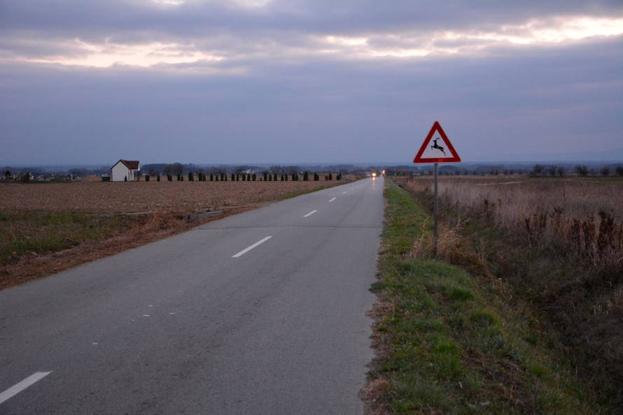 U nesreÄi kod Nove GradiÅ¡ke poginula majka Äetvero djece