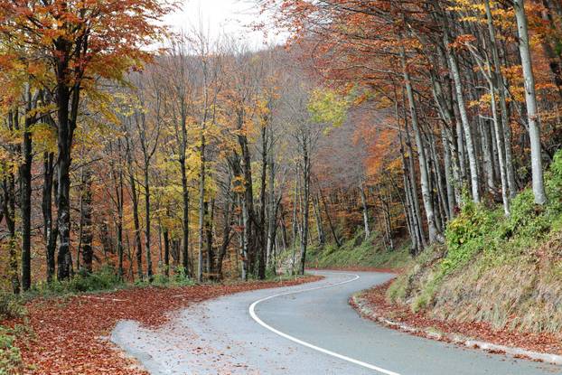 Delnice: Boje jeseni u Gorskom kotaru
