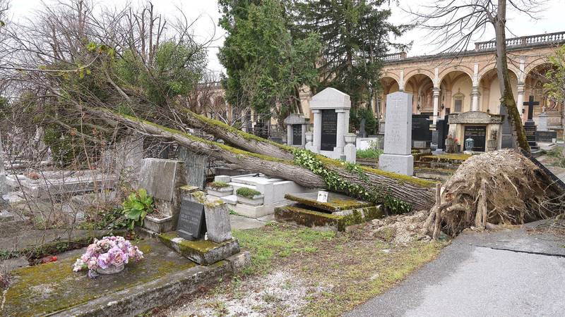 Evo kako i gdje prijaviti štetu  na grobu nakon nevremena u Zagrebu: 'Uklanja se drveće...'