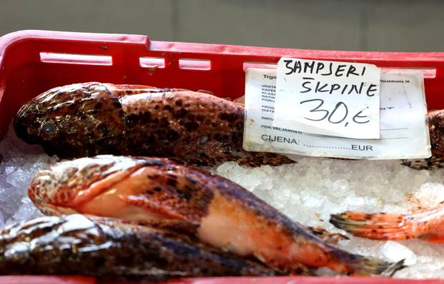 Šibenik: Ponuda ribe na korizmeni petak