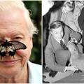 David Attenborough se vra&cacute;a na male ekrane u 98. godini: Nisu me htjeli zbog prevelikih zuba