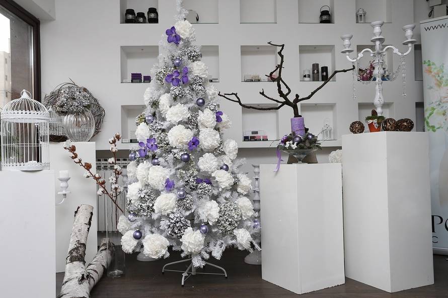 Davor Puklavec/Pixsell