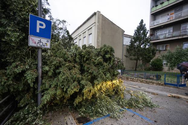 Olujno nevrijeme rušilo stabla u Puli