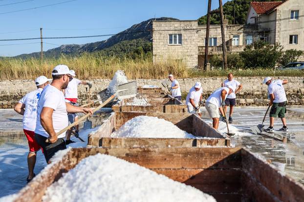 Berba soli u Stonskoj solani