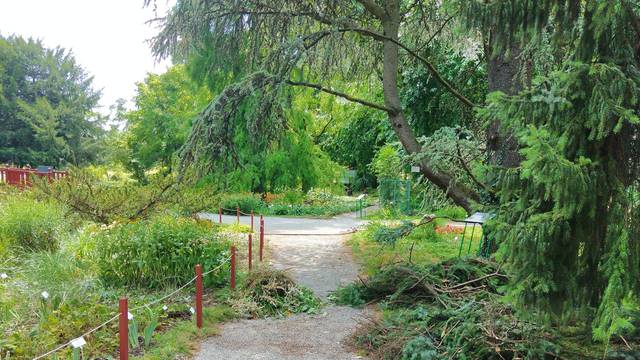 Botanički vrtu u Zagrebu treba pomoć nakon oluje: Kupite koju mladu sadnicu ili darujte novac