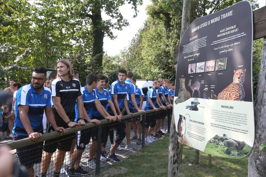 Napokon znamo spol: Lavići iz našeg ZOO-a su curica i dečko