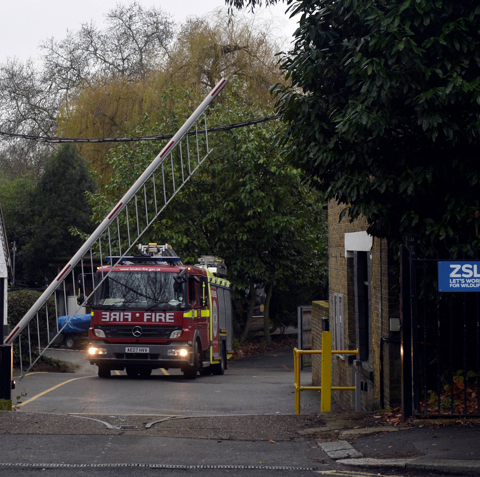 A fire engine leaves London Zoo following a fire which broke out at a shop and cafe at the attraction, in central London