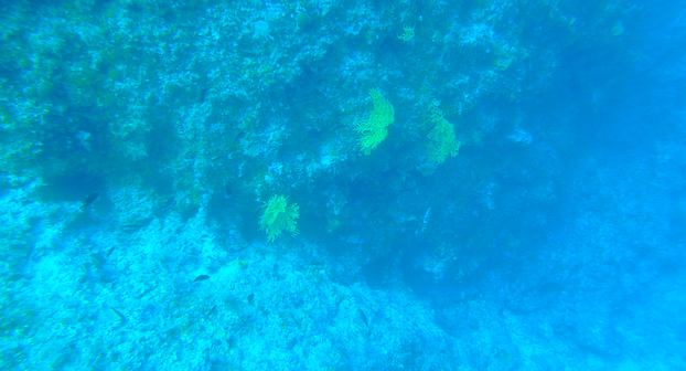 FOTO Ovo su najbolje i najljepše lokacije za ronjenje u Hrvatskoj