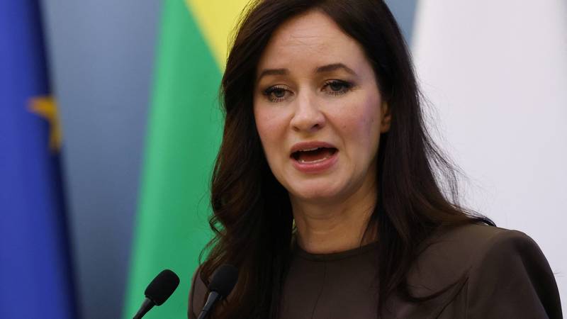 Litva će obarati krijumčarske balone koji dolaze iz Bjelorusije