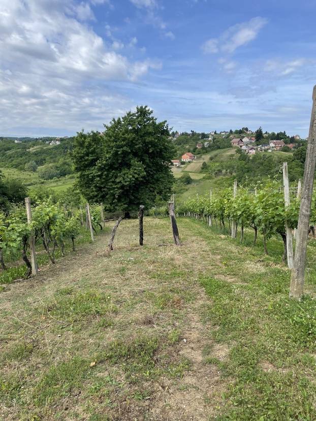 Kod Varaždina prodaju kuću od 9 m2! Nema dozvolu, struju ni vodu. Makadam je. Evo cijene