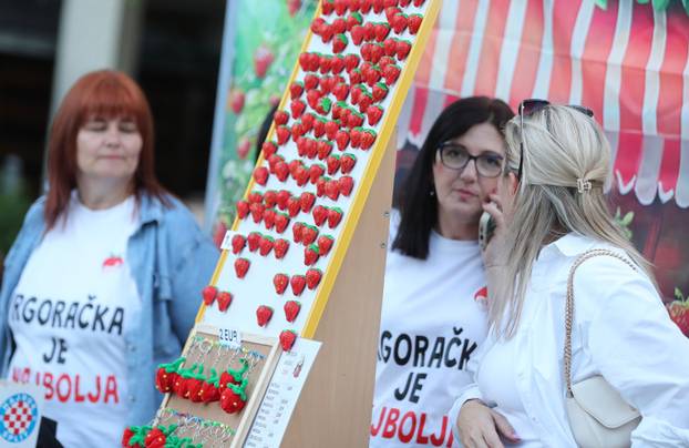 Održana je manifestacija Dani jagoda u Vrgorcu