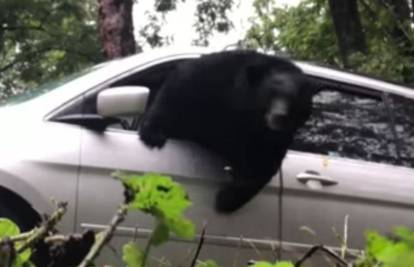 Obitelj u šoku: Medvjed razbio prozor i izašao iz njihova auta