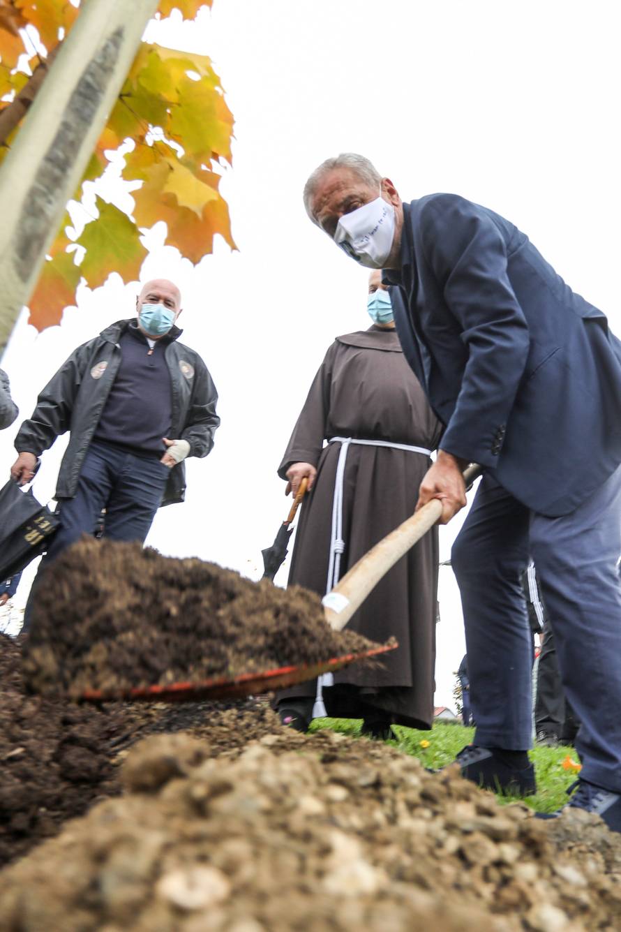 Zagreb: Oko crkve BDM Anđeoske u Dubravi zasađeno je 250 mladih stabala