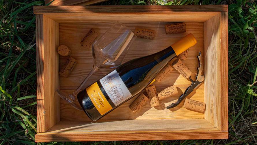 Graševina de Gotho 2020. – Puni sjaj kutjevačkog vinogorja