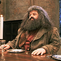 Hagrid ga je proslavio, povukao se iz javnosti i osamio, a po ovim ulogama ćemo ga pamtiti