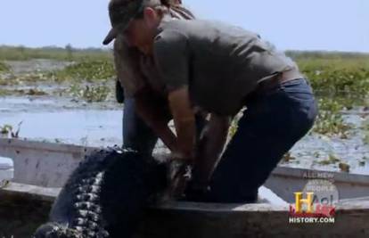 Aligator težak 300 kg 'oživio' je dok su ga povlačili na čamac