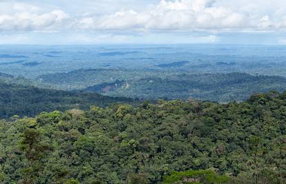 Zaštita šuma na prvoj crti borbe protiv klimatskih promjena