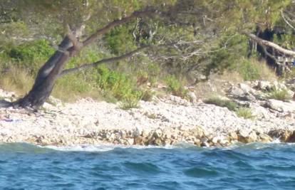 Ulovio ih u grupnom zanosu kod Šepurina: 'Zbog ovakvih stvari više ne mogu ni dolaziti!'