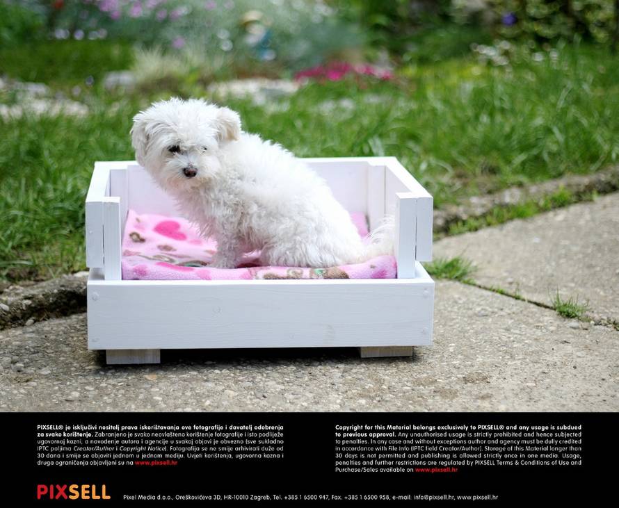 Borna Filić/Pixsell