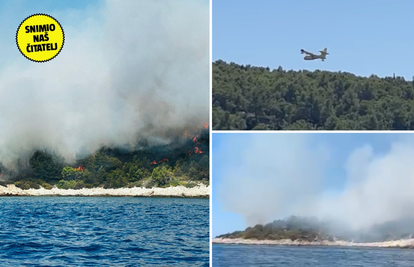 Vatrogasci lokalizirali požar na Braču: 'Približio se kućama, a izgorjelo je pet hektara šume'