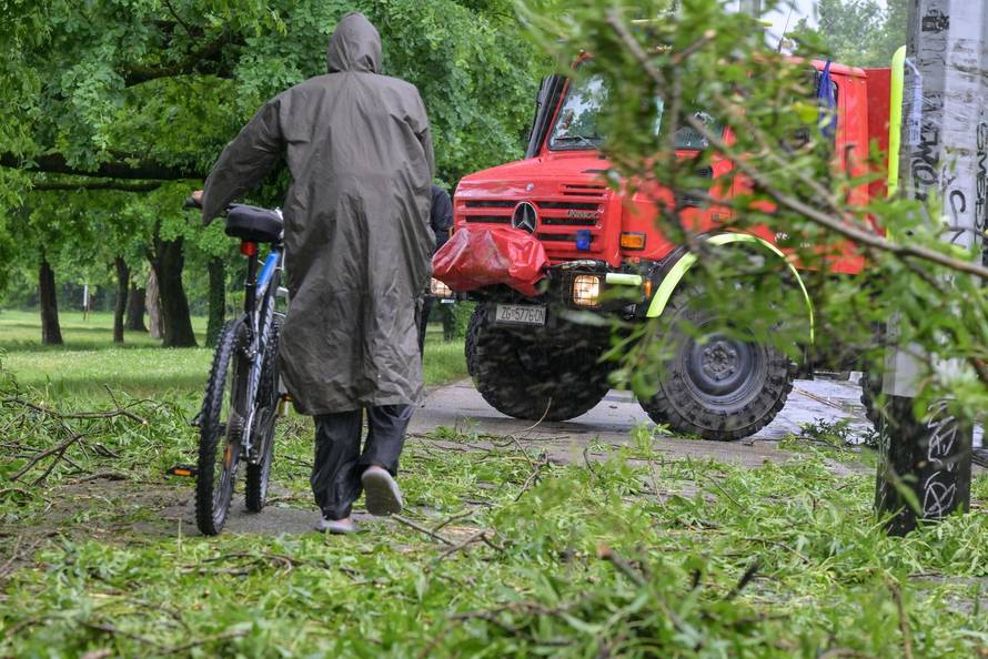 Zagreb: Palo stablo na Maksimirskoj, blokiran promet, vatrogasci na terenu