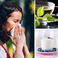Ojačajte imunitet: Evo što treba jesti i piti da ublažite alergiju